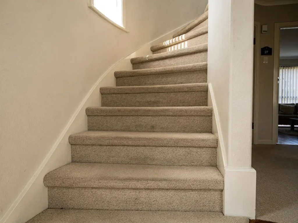 carpet cleaning in Millbridge